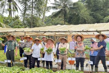 Cegah alih fungsi lahan pertanian poktan Sukabumi dirikan kebun wisata
