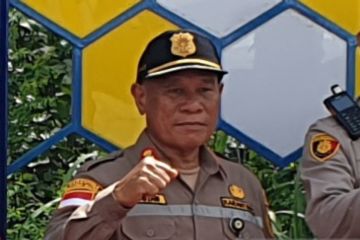 Balai Karantina Sumsel mitigasi penyebaran penyakit SE pada kerbau