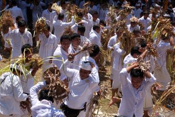 Tradisi perang sampian di Gianyar