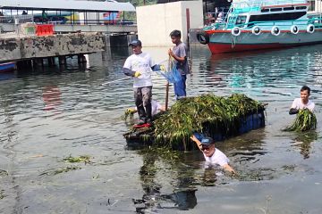 ASDP bersihkan pantai dan laut targetkan 20 ton sampah plastik