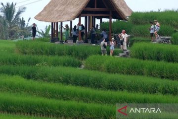 RI pastikan usul penetapan Hari Danau Sedunia dalam World Water Forum ke-10