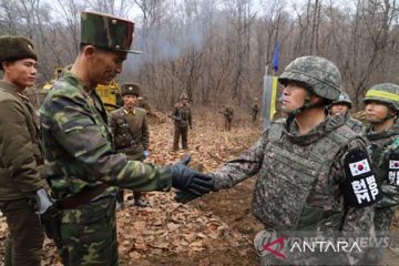 Korut diduga pasang ranjau di jalan dalam zona demilitarisasi Korea