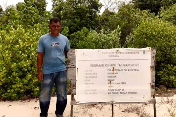 Melindungi pulau kecil dengan metode tanam mangrove rumpun berjarak