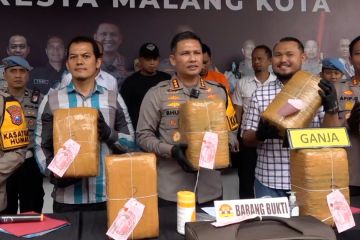 Ringkus kurir jaringan antar pulau, polisi amankan 42 kg ganja