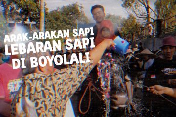 Melihat Lebaran Sapi di Desa Musuk Boyolali