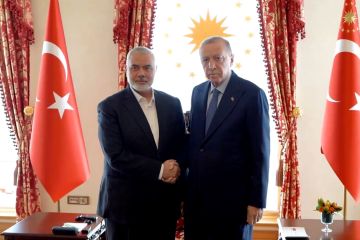 Presiden Turki bertemu pemimpin Hamas di Istanbul