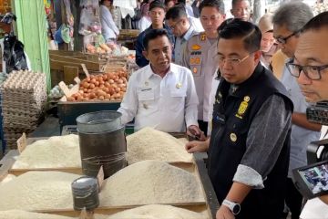 Wali Kota Ibnu Sina pastikan stabilitas harga di pasar Banjarmasin