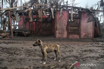 Desa Laingpatehi dan Pumpente daerah terparah terkena erupsi Gunung Ruang