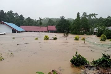 BPBD:Banjir Bandang di Luwu,tujuh meninggal dan ribuan rumah terdampak