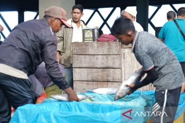 KKP gandeng unit pengolah ikan untuk serap ikan di Banda Aceh