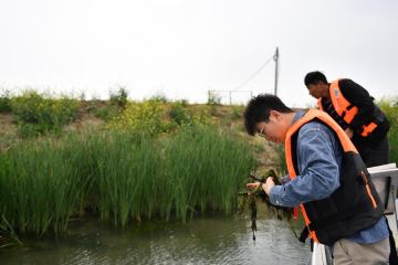 China percepat pembangunan sistem pemantauan lingkungan hidup modern