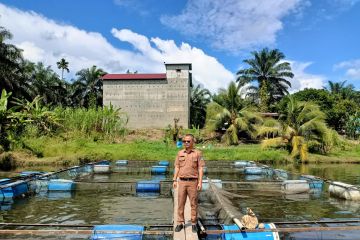 Produksi ikan Pasaman Barat triwulan I 2024 capai 27.773 ton