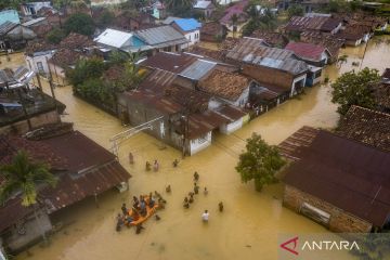 Ratusan rumah di Jambi terendam banjir akibat hujan deras