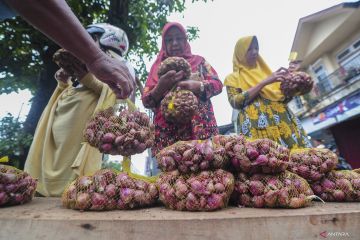 LPEM FEB UI: Inflasi umum turun didukung intervensi aktif pemerintah