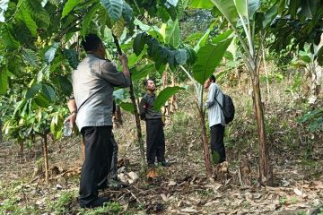 Petani kopi Karawang daftarkan paten indikasi geografis kopi robusta