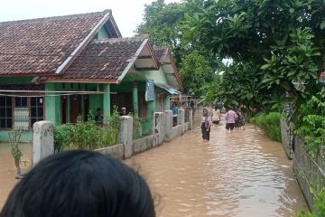 BPBD Lebak sebut 481 lokasi terdampak bencana alam Januari-Mei 2024