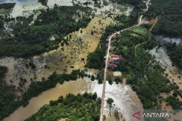 BNPB catat 3.121 jiwa terdampak banjir di Konawe Utara