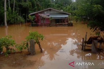 Ribuan warga terdampak banjir dipicu hujan tinggi di Aceh Jaya