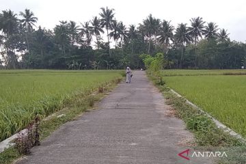 Pencairan dana desa di Kabupaten Kudus capai 52,49 persen