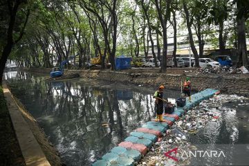 Soal wacana pulau sampah, DKI diingatkan harus lakukan studi mendalam