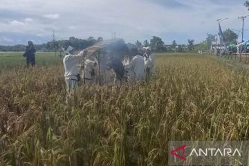 Kearifan lokal benteng pertanian dari serbuan tambang