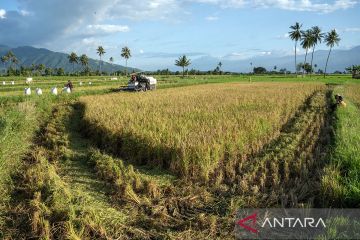 Kenaikan harga pembelian gabah kering