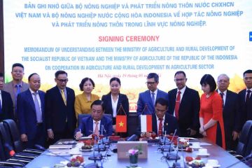 Mentan RI dan Vietnam sepakat kerja sama teknologi lahan rawa