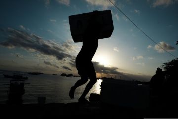 Cuaca hujan harga ikan naik