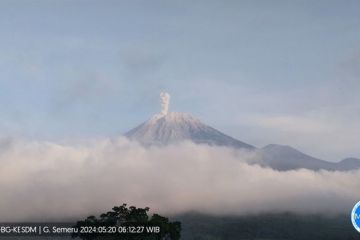 Gunung Semeru kembali erupsi lontarkan abu vulkanik setinggi 800 meter