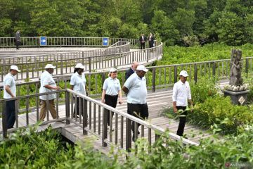 RI dan Suriname kolaborasi lindungi pesisir dan rehabilitasi mangrove