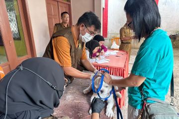 Pemkot Bandarlampung sebut sebanyak 527 HPR divaksin rabies