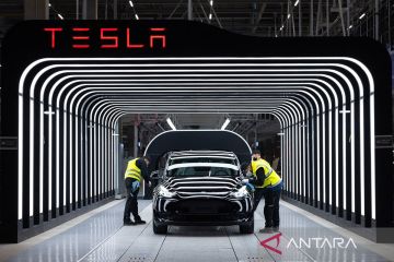 Tesla tunda peluncuran Robotaxi hingga Oktober