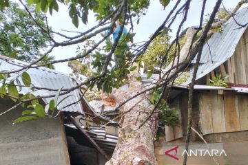 Badai rusak tiga unit rumah warga Aceh Barat, satu orang meninggal