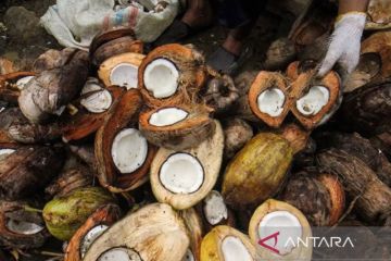 Kemenperin gelar pelatihan pengolahan kelapa untuk negara di Karibia