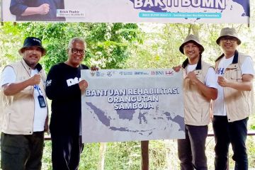 BNI dukung Relawan Bakti BUMN untuk rehabilitasi habitat orangutan
