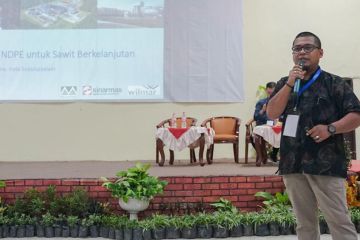 Wilmar terapkan NDPE dukung perlindungan lanskap Aceh Bagian Selatan