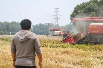 Pakar China, AS serukan kolaborasi ketahanan pangan dan pertanian