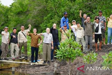 Pemkab Bulungan-Kedutaan Kanada kerja sama konservasi mangrove