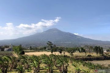 Pengelola Tahura R Soerjo benahi jalur pendakian Gunung Arjuno