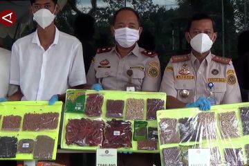 Balai Karantina tegaskan pentingnya lapor komoditas dari luar negeri