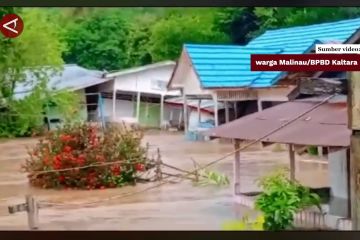 Curah hujan tinggi, 80 keluarga terdampak banjir di Kabupaten Malinau