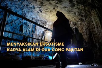 Menyaksikan eksotisme karya alam di Gua Gong Pacitan