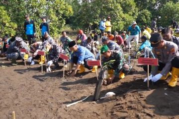TNI AL Tegal tanam 10 ribu bibit mangrove di Wonokerto