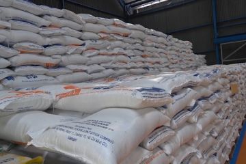 Bulog sebut serapan beras lokal di Sumsel naik tiga kali lipat