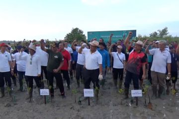 Tingkatkan kesadaran lingkungan, tanam mangrove libatkan generasi muda