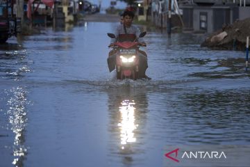 Banjir rob Desa Karangsong, Indramayu, akibatkan puluhan rumah warga pesisir pantai terendam setinggi 60-90 centimeter
