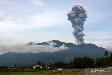 Foto Pilihan pekan pertama Juni 2024