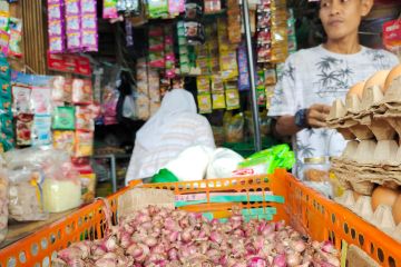 BPS Lampung: Bawang merah sumbang inflasi 0,21 persen pada Mei
