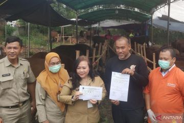 Hewan kurban di 119 lokasi penampungan di Jakarta dinyatakan sehat