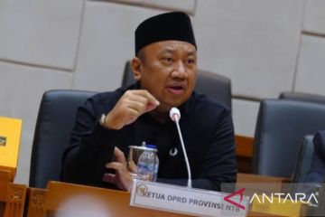 NasDem dan PKB tepis rekomendasikan Zulkieflimansyah untuk Pilkada NTB